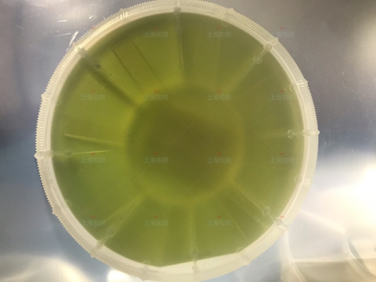 Купить ранг субстрата sic кремниевого карбида вафли 4inch 6Inch 4H-N 500mm 350um SIC основная фиктивная Производство в сети